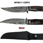 FACA NF6811